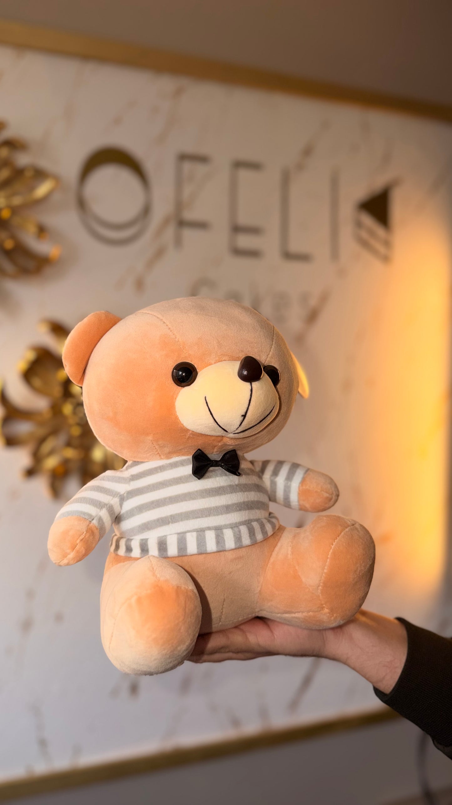 Oso de Peluche Premium 25 cm – Niño/Niña