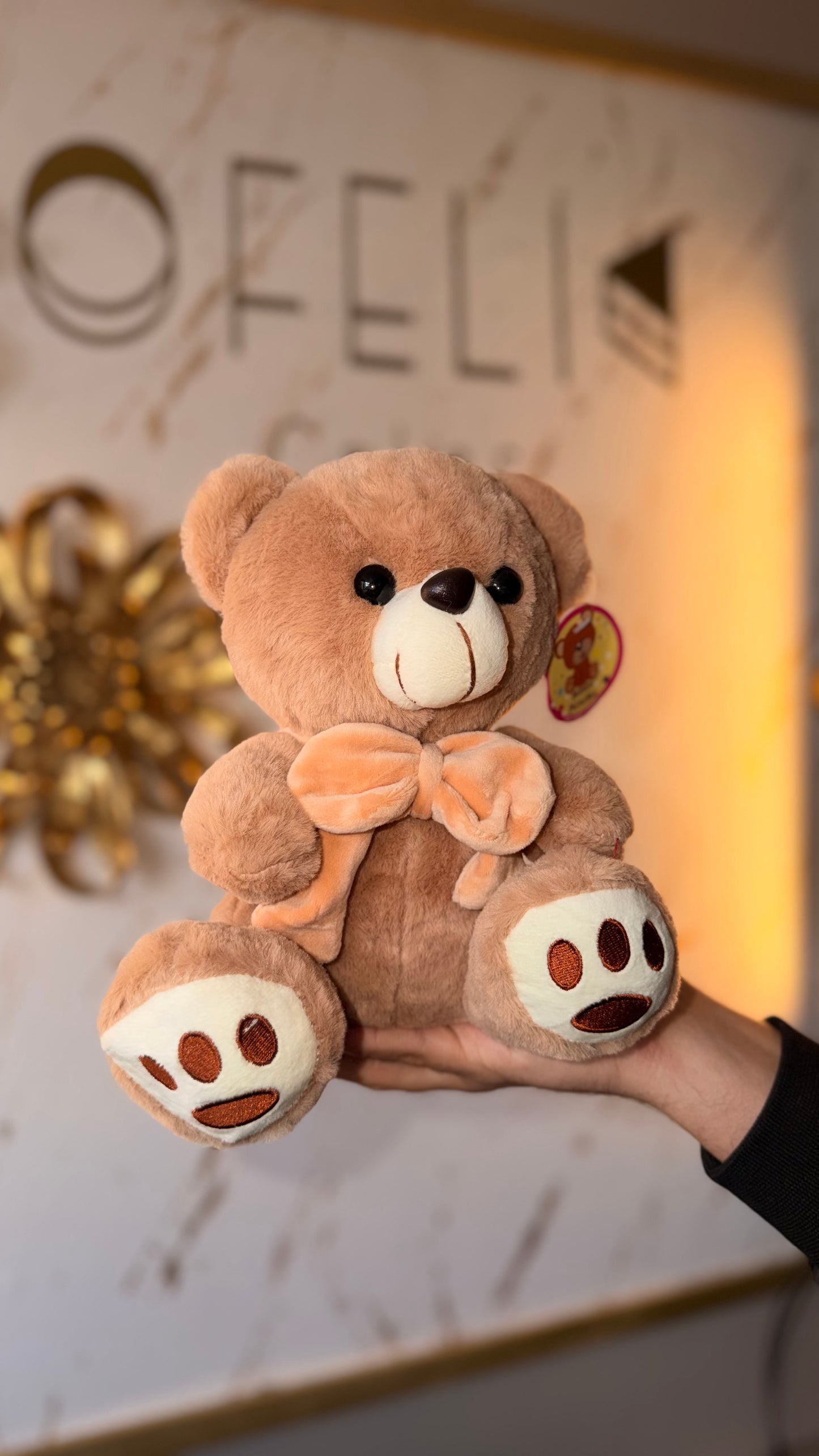 Osito de Peluche Premium 24 cm con Lazo