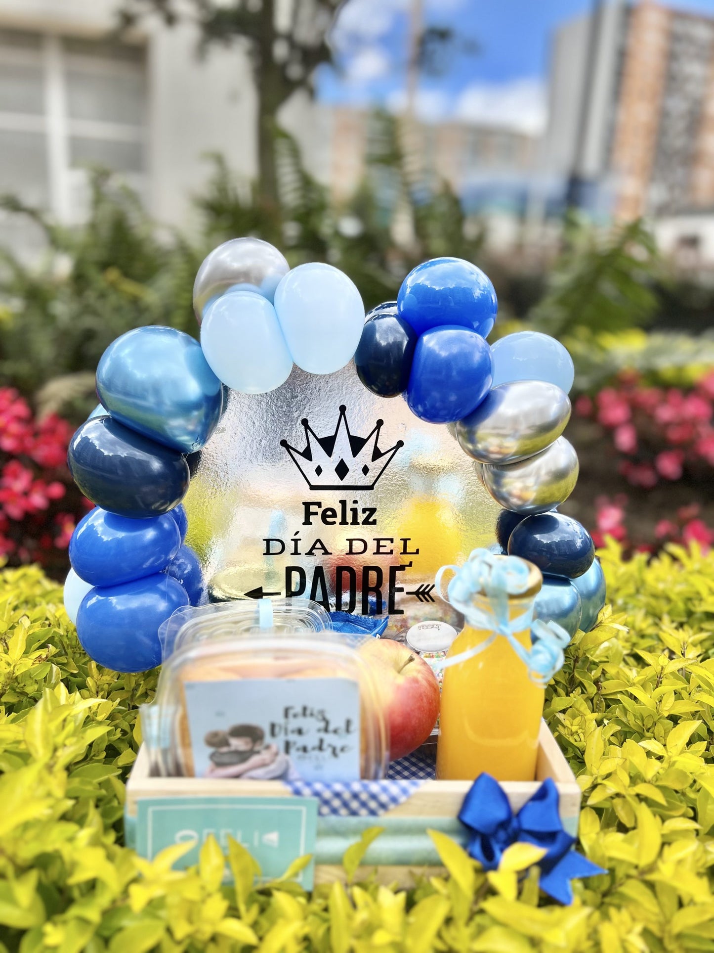Desayuno sorpresa Destello Papá tra276