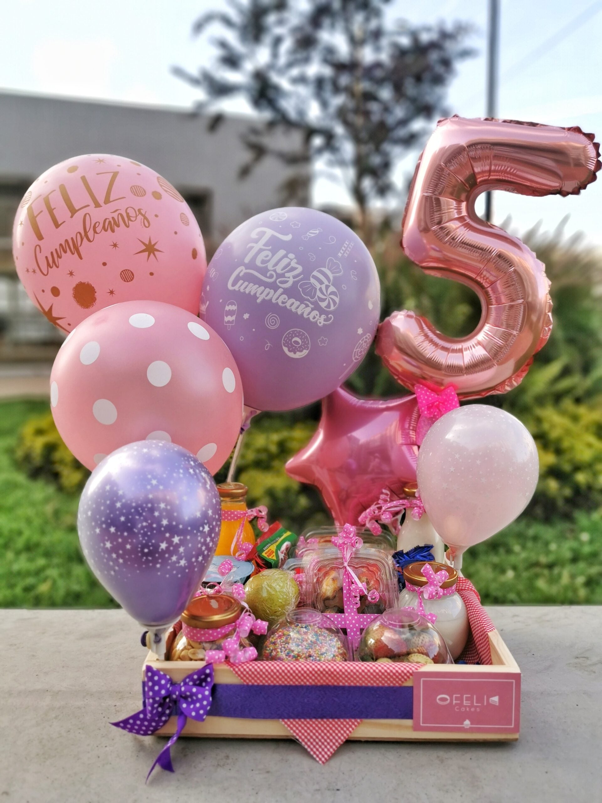 Regalo de cumpleaños para niña de 5 años on sale