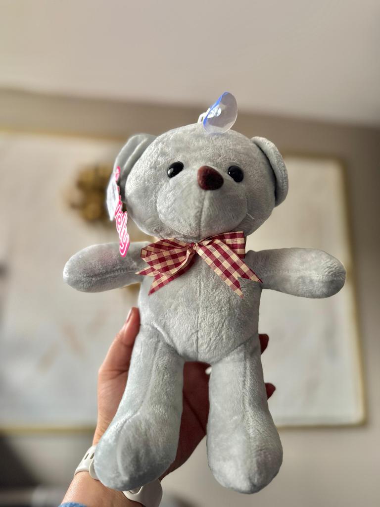 Osito de Peluche Gris 25 cm