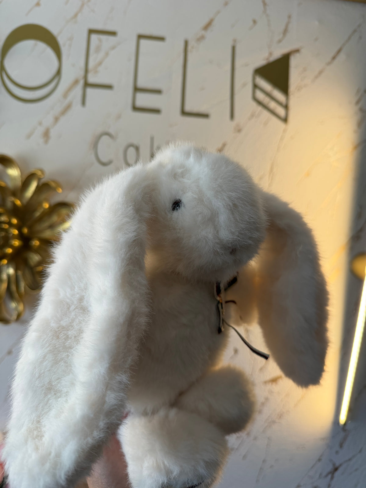 Peluche Conejita Blanca de Orejas Largas 30 cm 🐰🤍