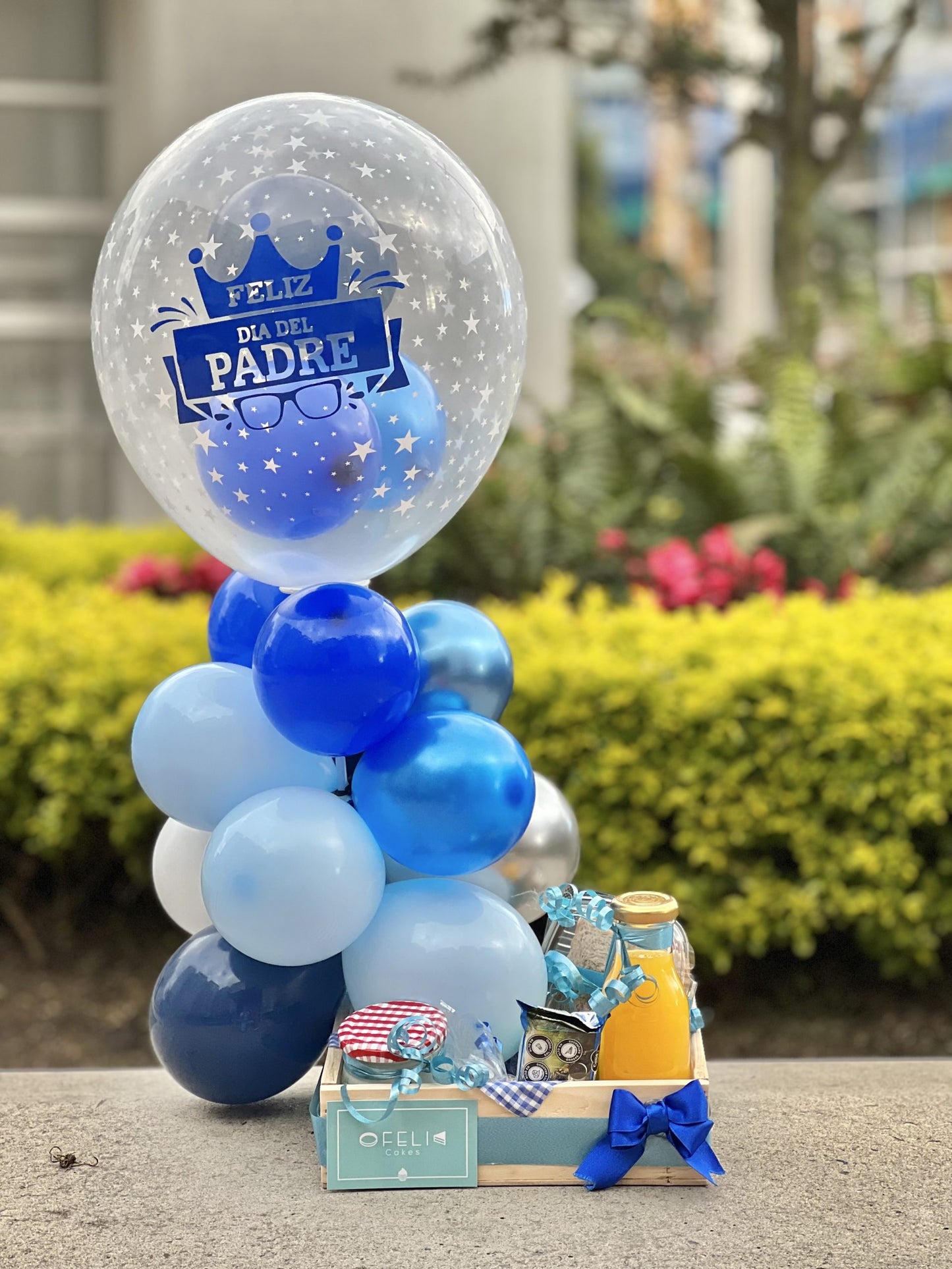Desayuno Sorpresa Azul Papá tra245